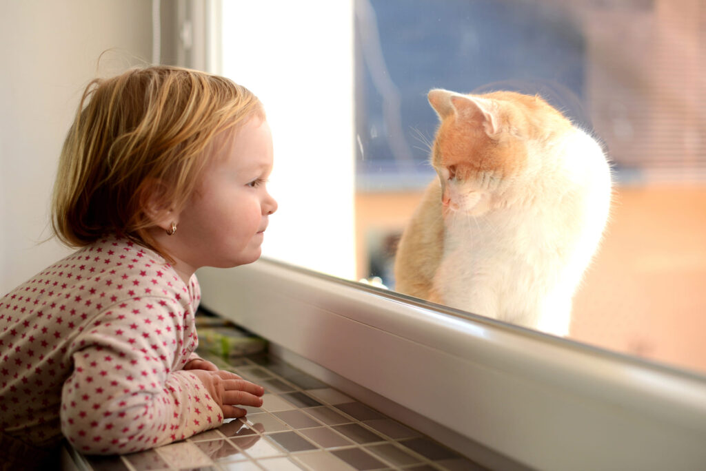 geam cu folie protectie solara o fetita care se uita la o fereastra si o pisica in afara casei